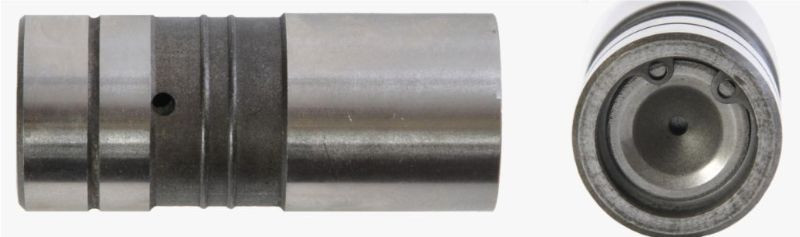 Valve Lifter - 1994 Chevrolet C1500 5.7L (L817X.G66)