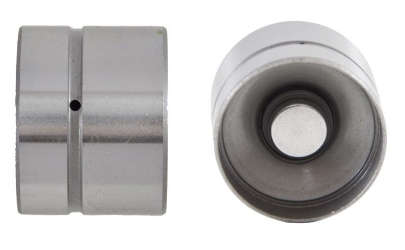 Valve Lifter - 2003 Audi A6 Quattro 2.7L (L9022-4.K106)