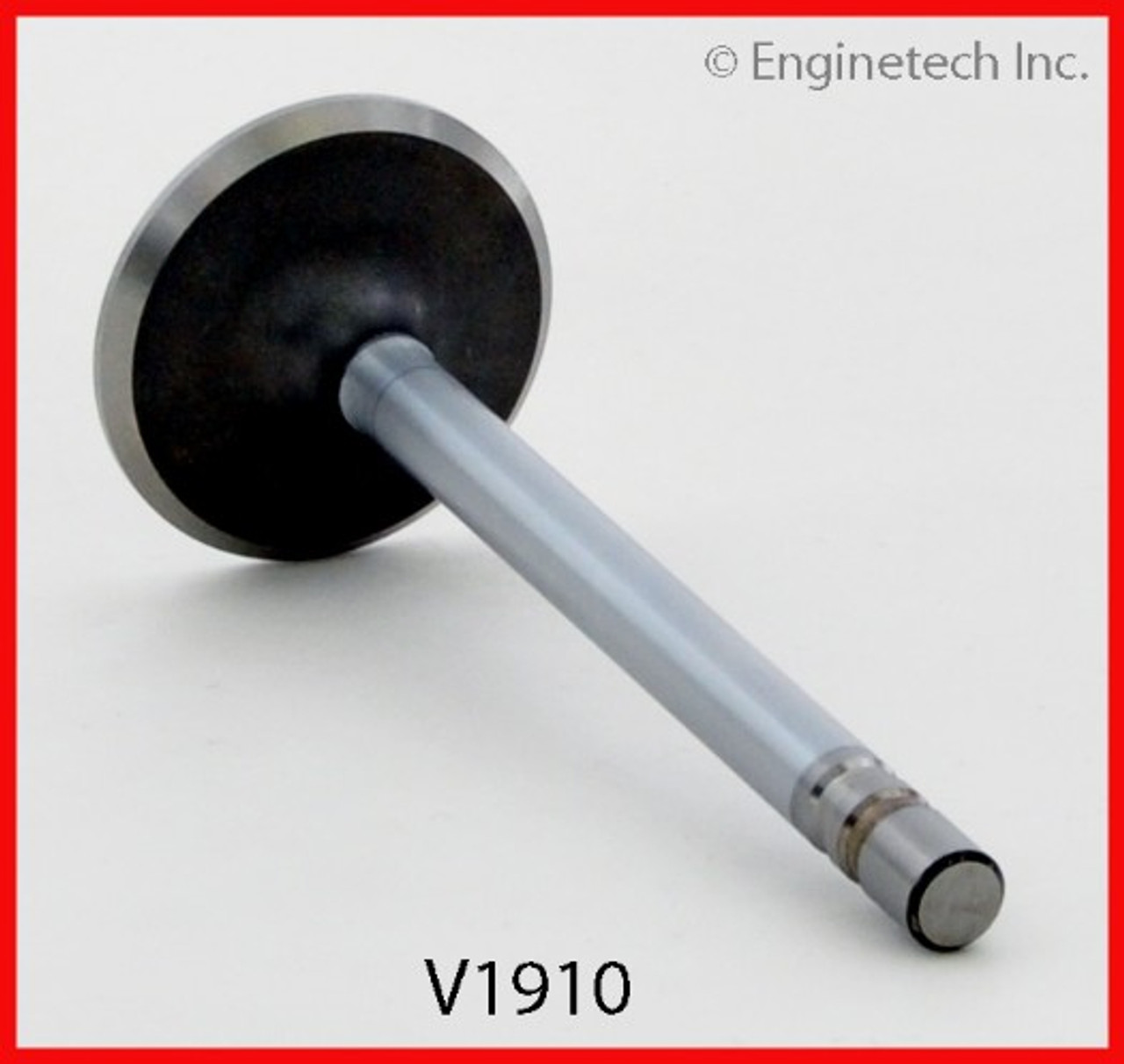 Intake Valve - 1985 Buick Century 2.5L (V1910.G68)