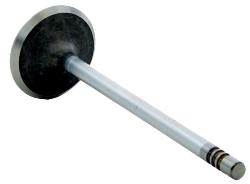 Intake Valve - 2004 Chrysler Sebring 2.7L (V1920B.C25)