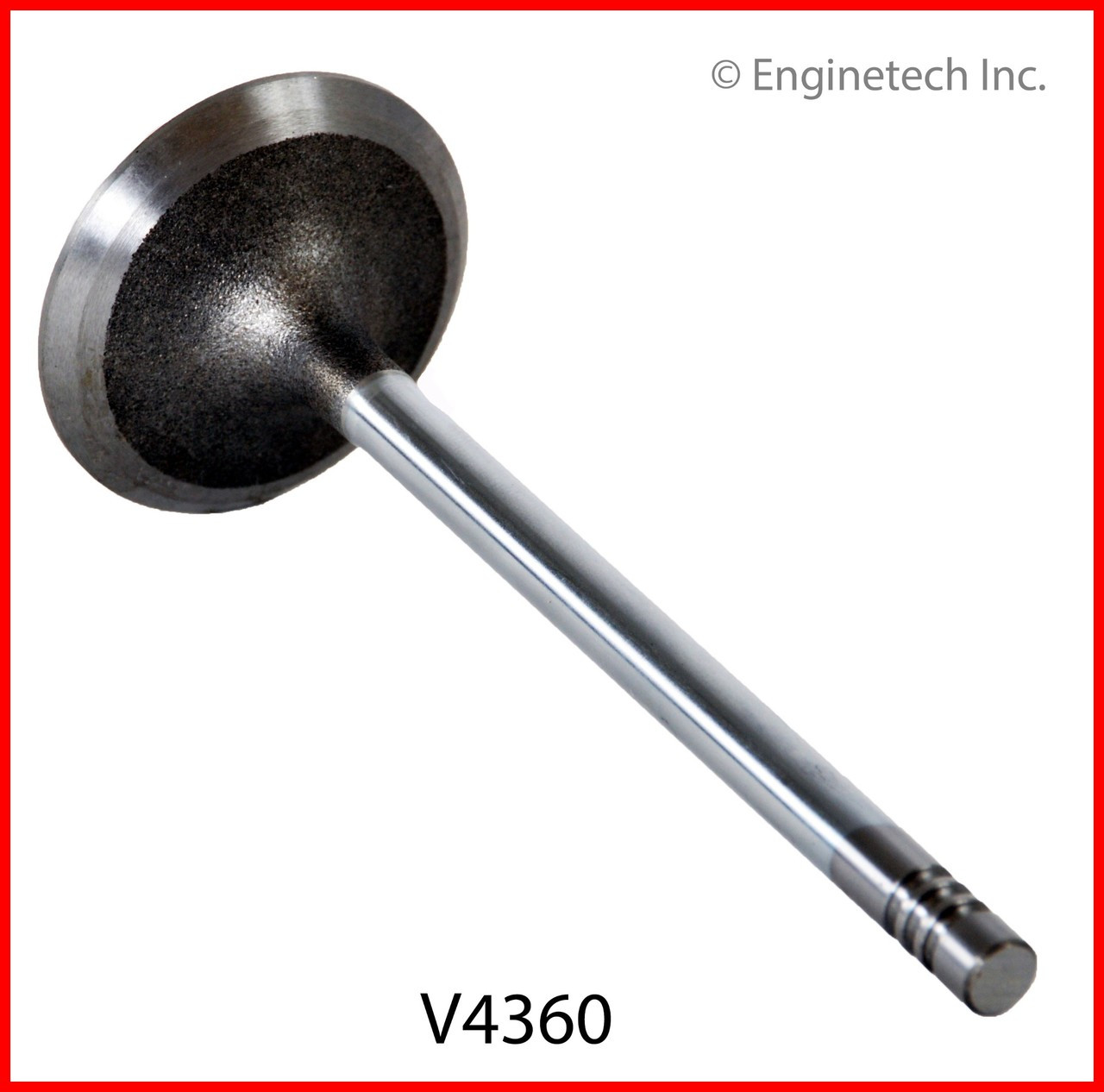 Intake Valve - 2000 Mazda B3000 3.0L (V4360.A10)