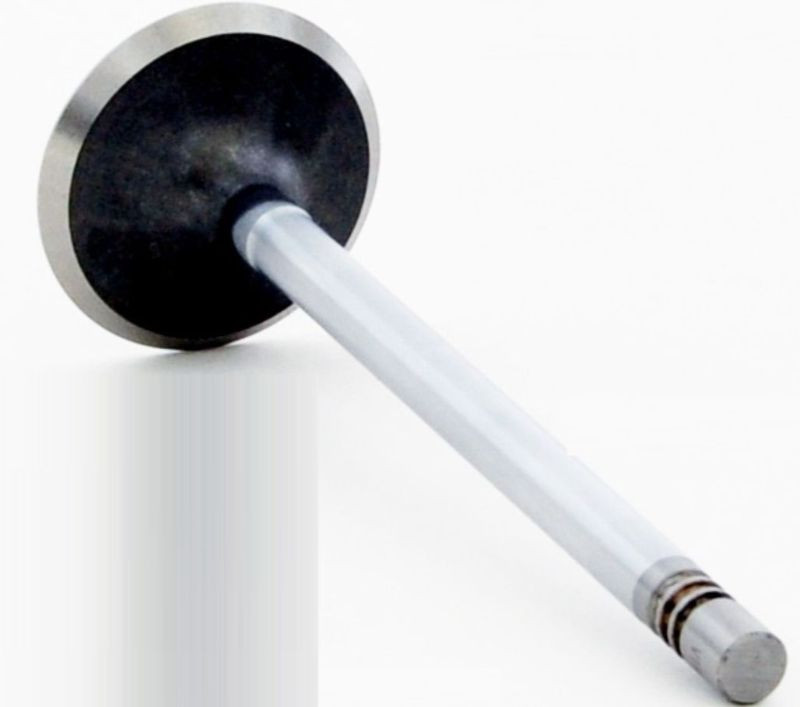 Exhaust Valve - 2007 Ford F-250 Super Duty 5.4L (V4377.C28)