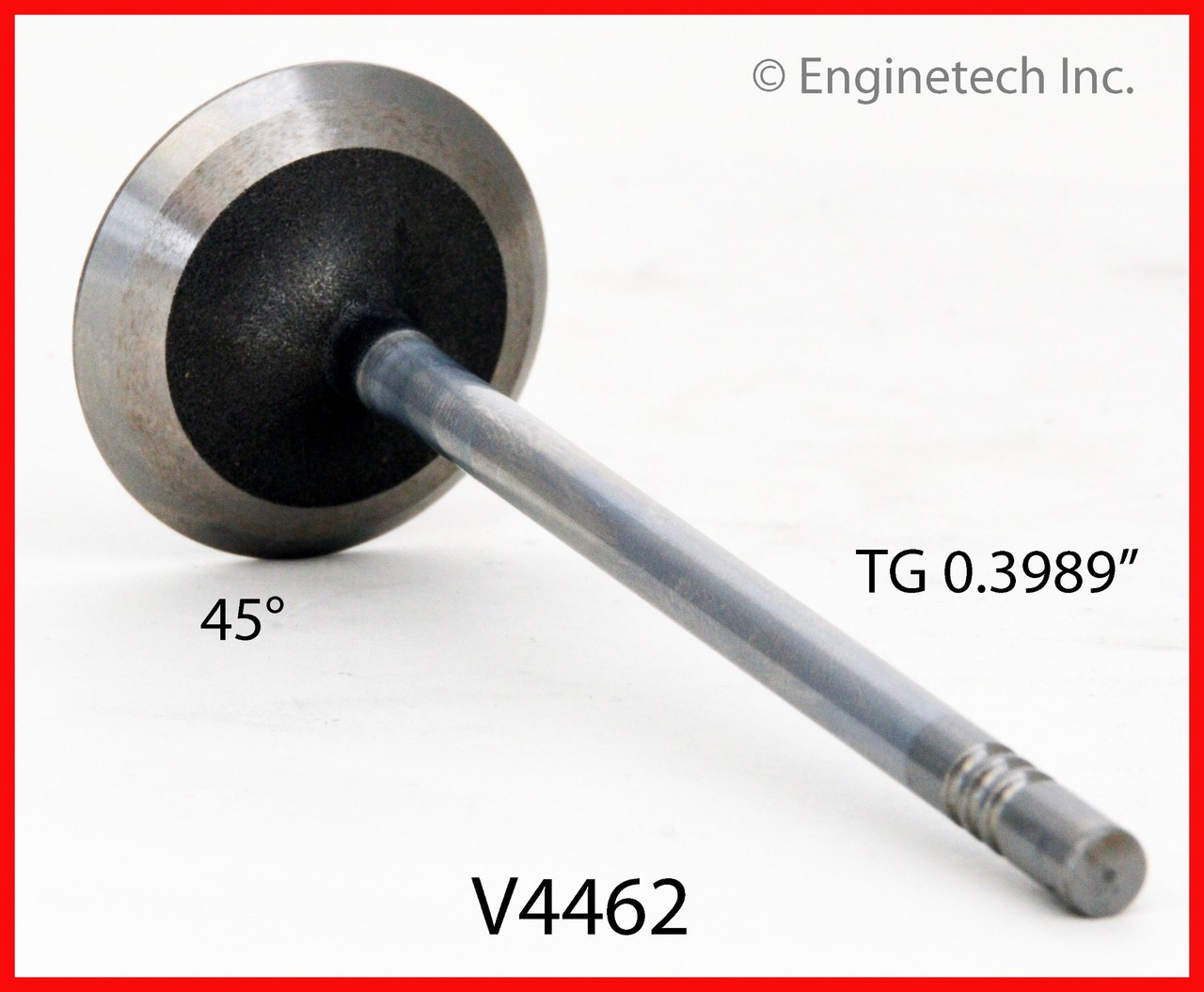 Intake Valve - 2015 Ford Mustang 5.0L (V4462.A10)