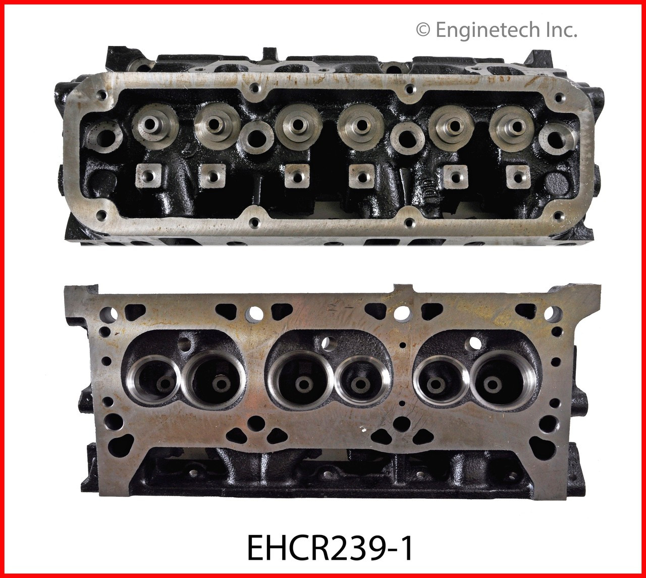 Cylinder Head - 1992 Dodge D150 3.9L (EHCR239-1.A3)