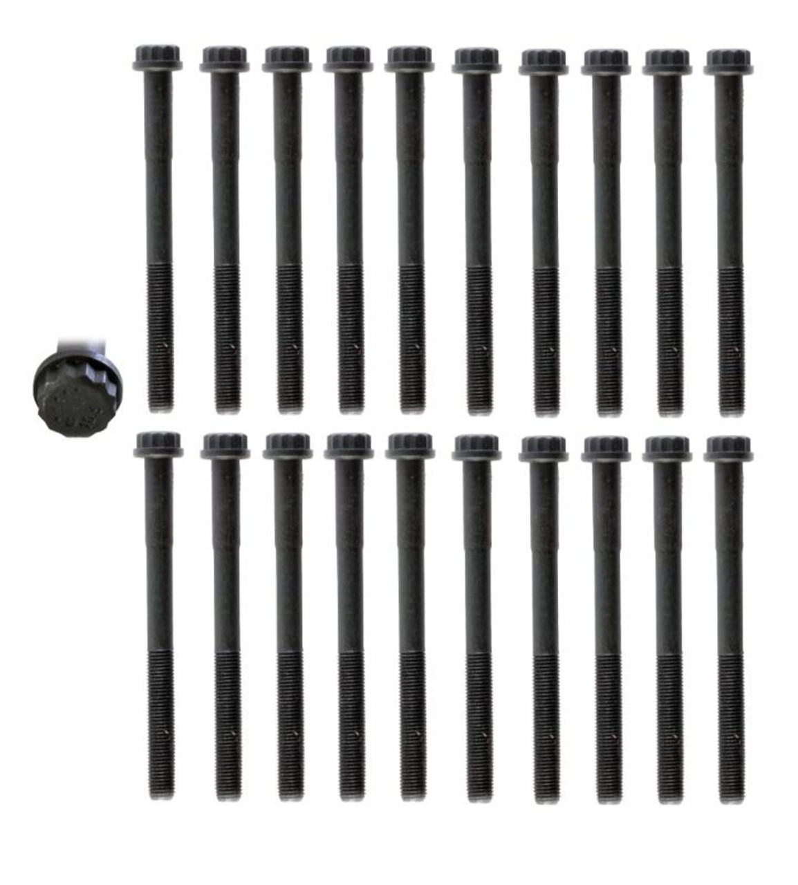 Cylinder Head Bolt Set - 2005 Toyota Tundra 4.7L (HB176.D33)