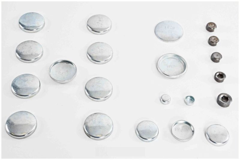 Expansion Plug Kit - 1987 Dodge D100 5.9L (PK14.L1389)