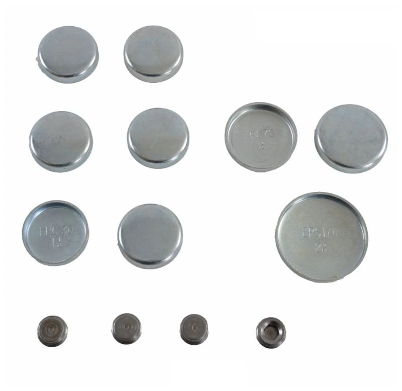 Expansion Plug Kit - 1989 Jeep Grand Wagoneer 5.9L (PK18.K399)