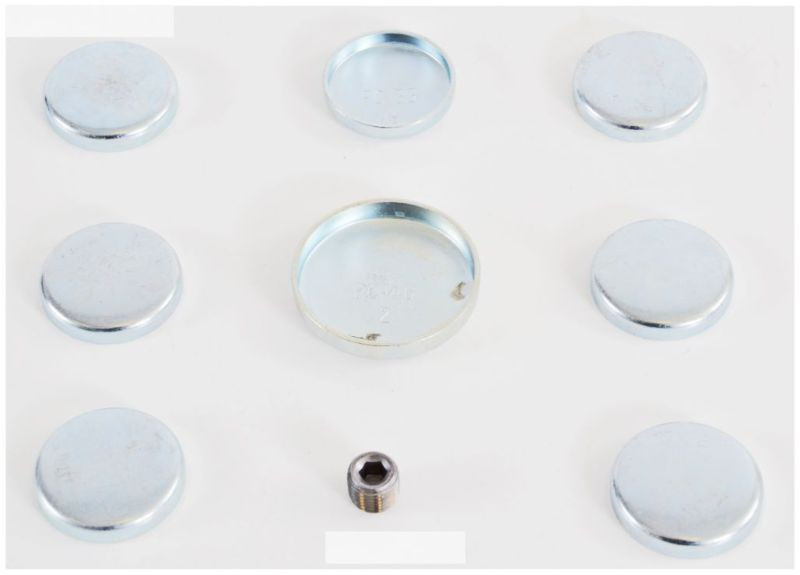 Expansion Plug Kit - 1991 Ford Ranger 2.9L (PK250.B13)