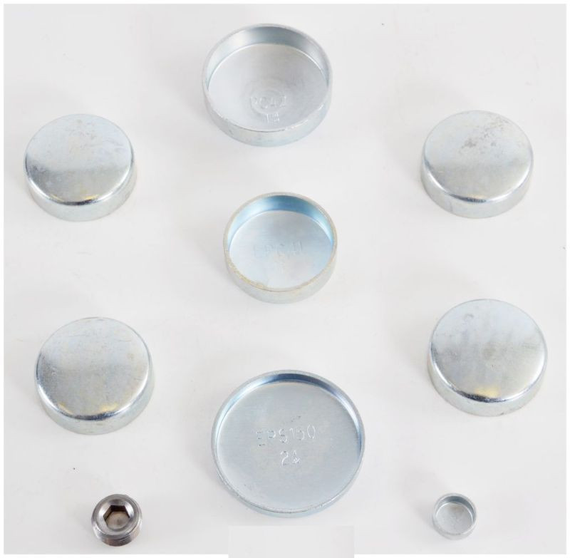 Expansion Plug Kit - 1991 Pontiac Grand Am 2.5L (PK42.K168)