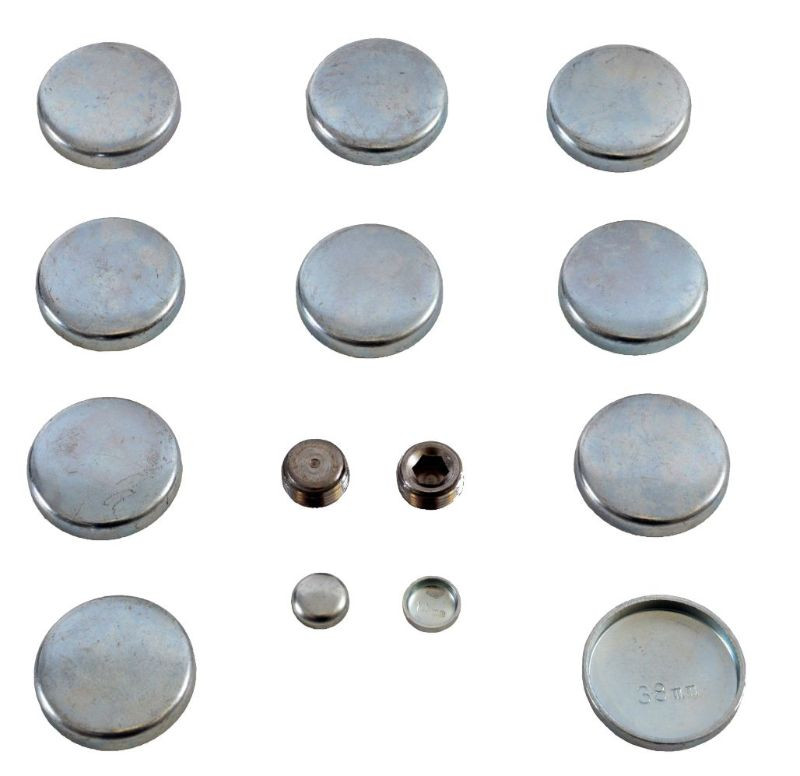 Expansion Plug Kit - 2000 Ford E-150 Econoline 4.6L (PK70.H71)