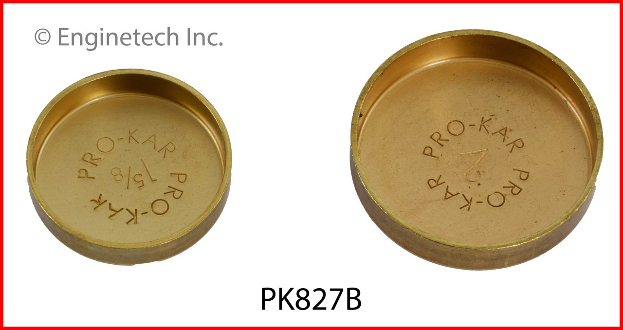 Expansion Plug Kit - 2009 Chevrolet Express 3500 4.8L (PK827B.K206)