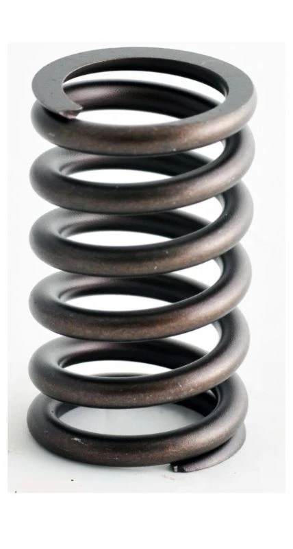 Valve Spring - 1999 Chevrolet C1500 Suburban 5.7L Engine - ERV1680-100ZE365