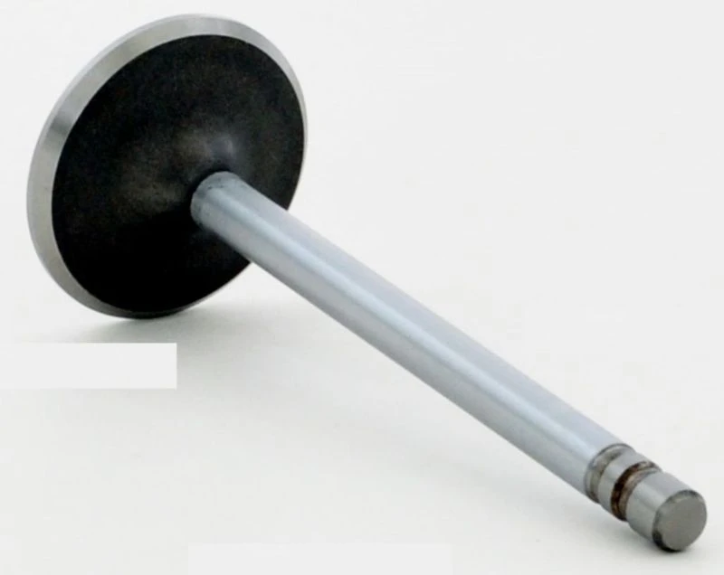 1989 GMC C1500 5.0L Engine Intake Valve V1922B -314