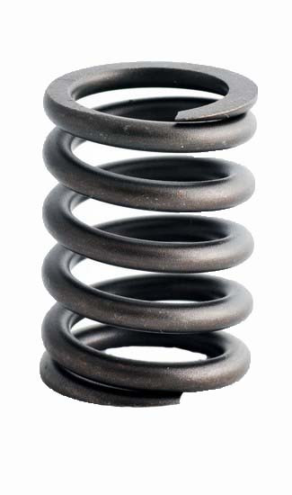 Ford 5.0L 302ci OHV V8 Windsor 4.000" Bore Valve Spring ERV1149 -EP8