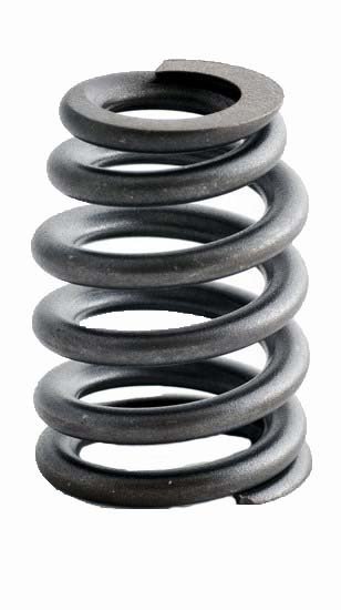 1996-2009 GM, Chevrolet 3.4L 207ci OHV V6 12V "E,F" Chevrolet 92.00mm Bore Valve Spring ERV1265 -EP4