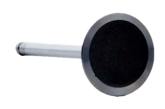 2005-2006 Saturn 3.5L 214ci OHV V6 12V "L" GM 94.00mm Bore Intake Valve V4414 -EP3
