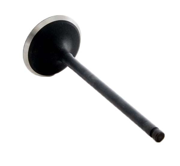 2004-2006 Lexus 3.3L 3311ci DOHC V6 24V 3MZFE 92.00mm Bore Intake Valve IM2738 -EP6