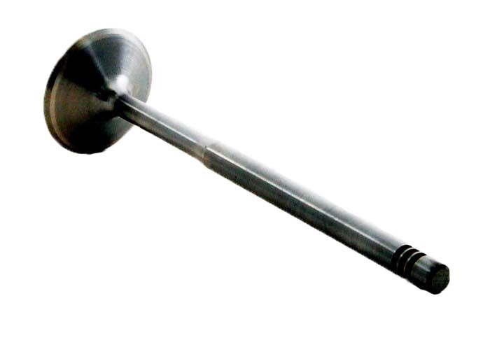 1999-2001 Volkswagen 1.8L 1781ci DOHC L4 20V APH Turbo 81.00mm Bore Intake Valve IM3488 -EP9