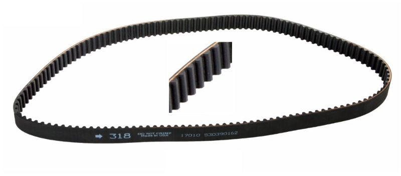 2004 Kia Rio 1.6L Engine Timing Belt TB318 -4