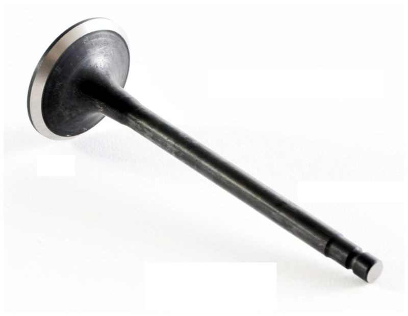 2015 Nissan NV2500 5.6L Engine Exhaust Valve EM1013 -154