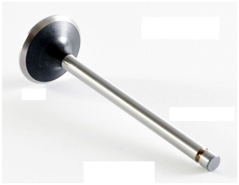 1987 Nissan Pathfinder 2.4L Engine Exhaust Valve EM2203 -16