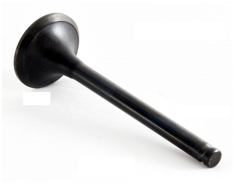 1989 Dodge Grand Caravan 3.0L Engine Exhaust Valve EM2429 -17