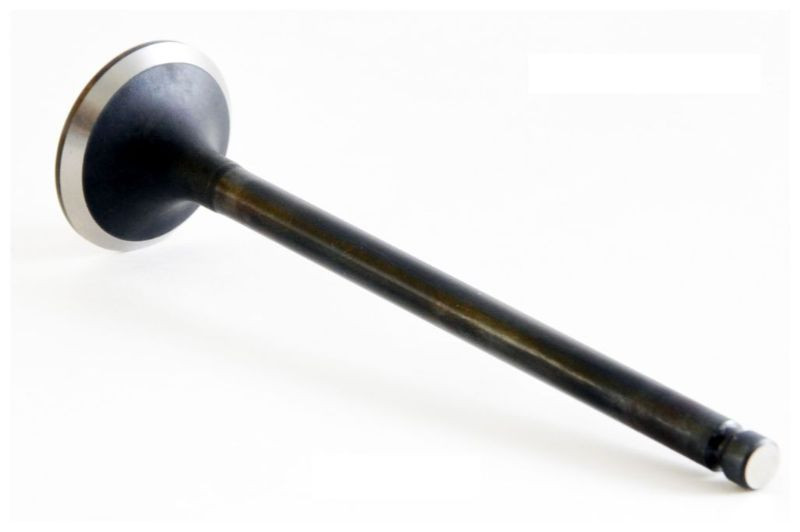 1991 Mercury Capri 1.6L Engine Exhaust Valve EM2831 -6