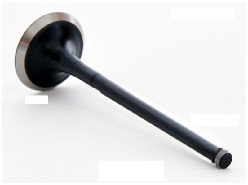 2001 Toyota Tundra 4.7L Engine Exhaust Valve EM3507 -22