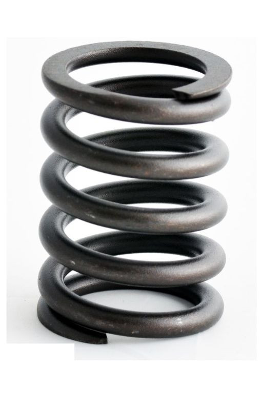 1992 Ford E-150 Econoline Club Wagon 5.0L Engine Valve Spring ERV1086 -478