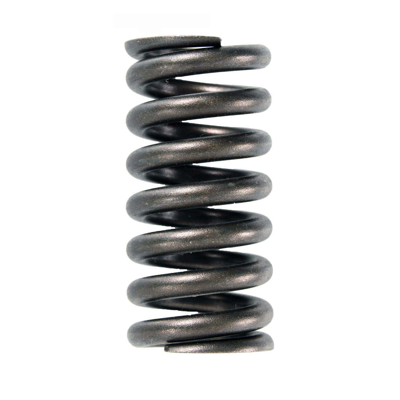 Valve Spring - 2006 Ford E-350 Super Duty 6.0L (PNERV458-32.C23)