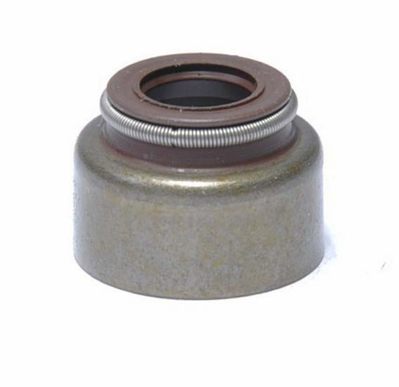 Valve Stem Oil Seal - 1998 Dodge B2500 5.2L (PNS2969.L1753)