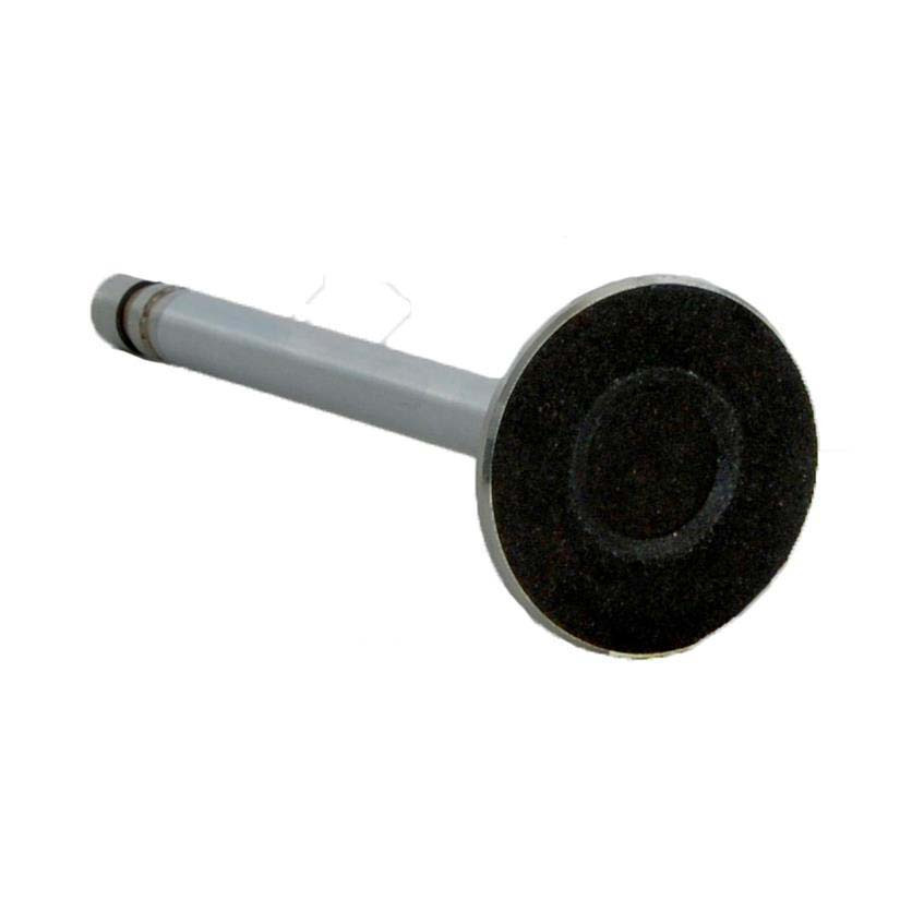 Exhaust Valve - 1985 GMC P4500 4.3L (PNV1923.L4974)