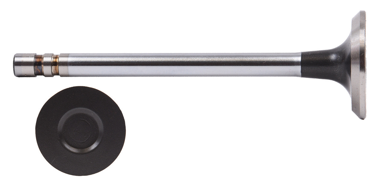Exhaust Valve - 1985 GMC G2500 5.0L (PNV1923B.L4383)
