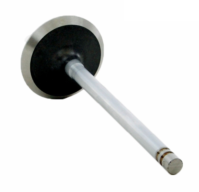 Intake Valve - 1993 Chrysler Imperial 3.8L (PNV2402.C27)