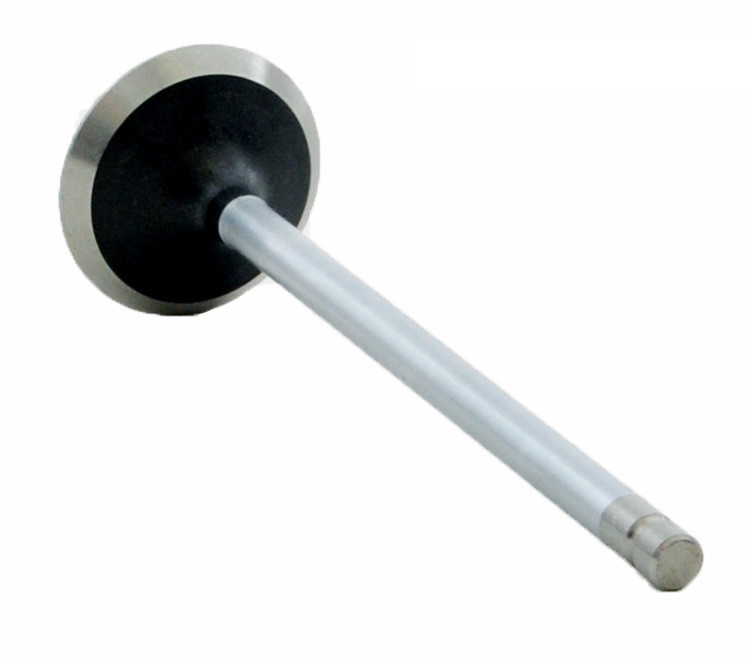 Exhaust Valve - 1996 Isuzu Hombre 2.2L (PNV2885.C24)