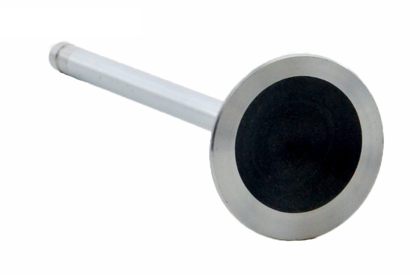 Exhaust Valve - 1995 Buick Century 2.2L (PNV2885.A9)