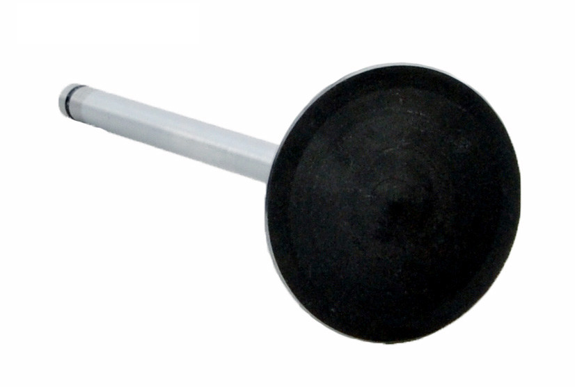 Intake Valve - 1995 Buick Century 2.2L (PNV2892.A9)