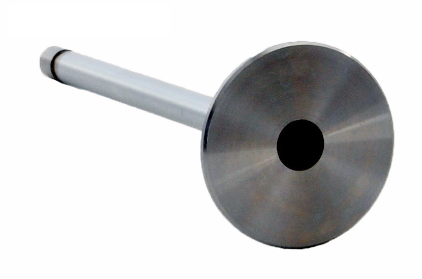 Intake Valve - 2003 Ford Excursion 7.3L (PNV3188.D36)