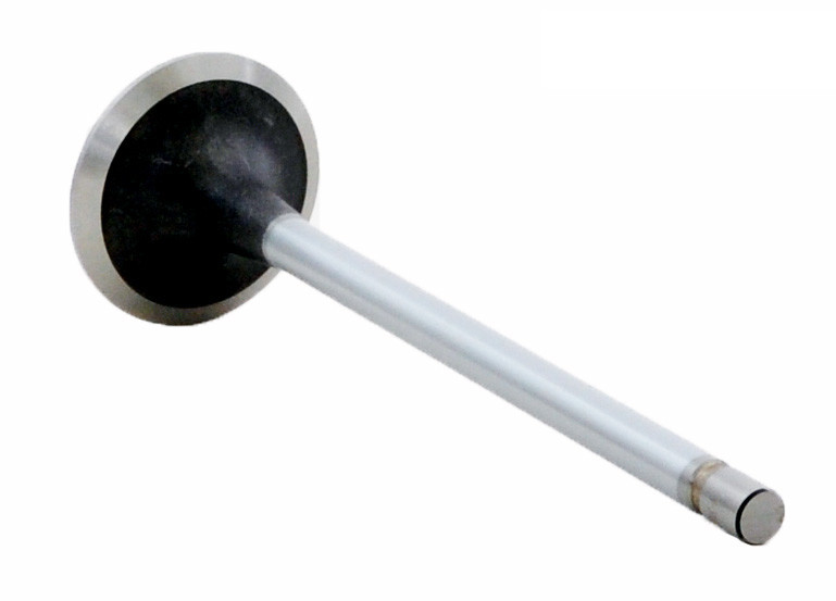 Intake Valve - 2003 Ford F-350 Super Duty 7.3L (PNV3188B.D38)