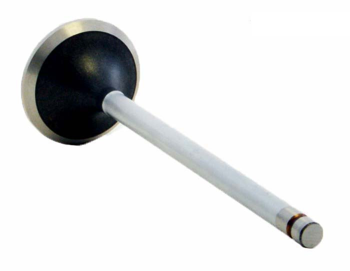 Exhaust Valve - 2000 Isuzu Hombre 2.2L (PNV3449.B18)