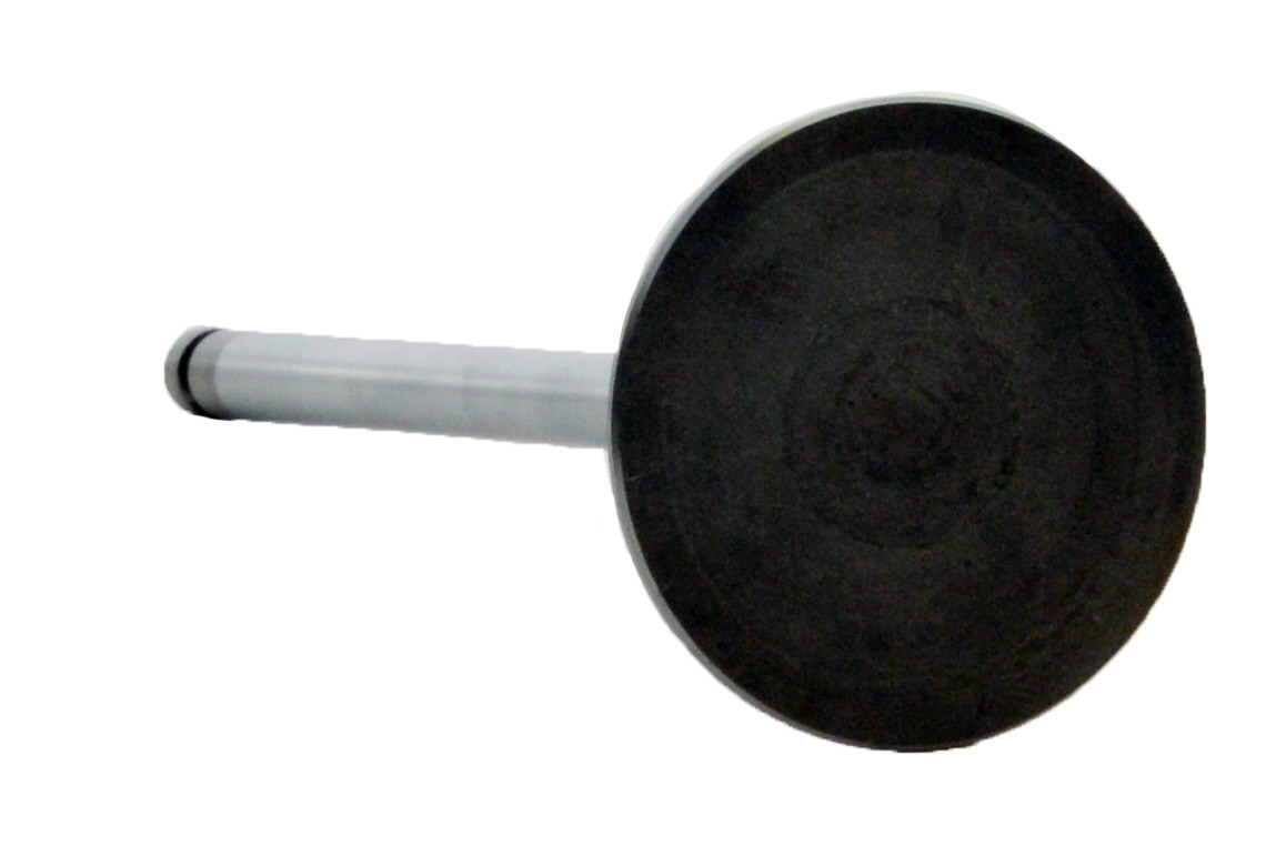 Intake Valve - 2000 Isuzu Hombre 2.2L (PNV3456.B18)
