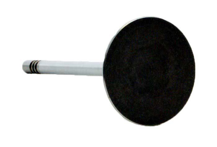 Intake Valve - 2002 Dodge Ram 1500 3.7L (PNV3704.A10)