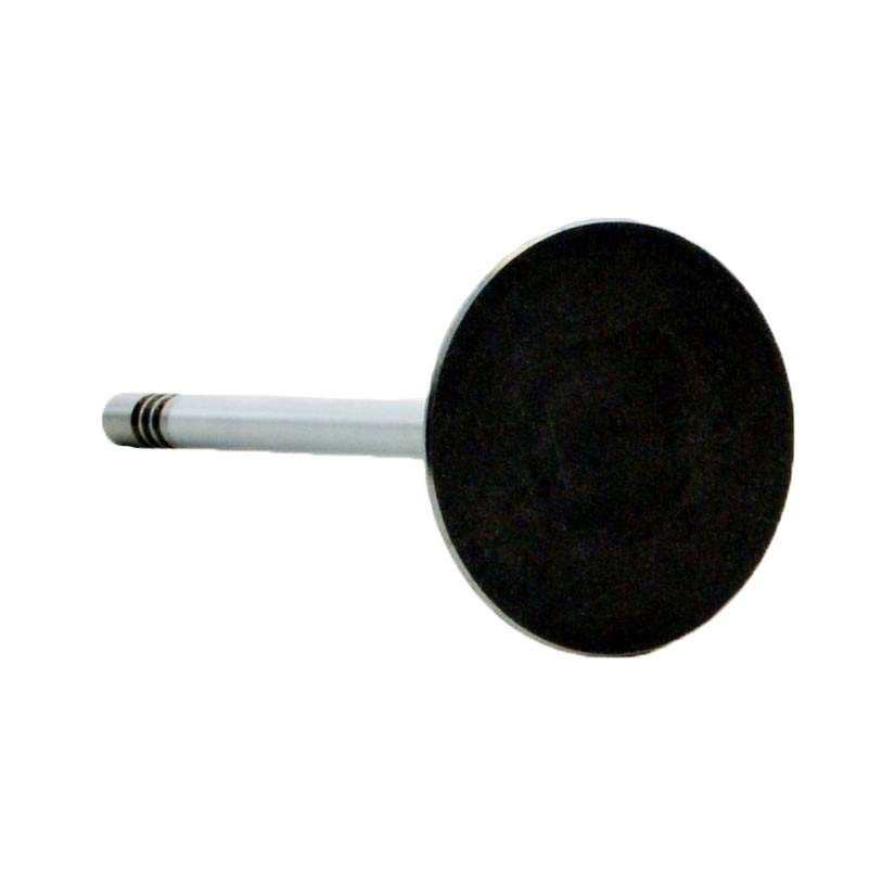 Intake Valve - 2002 Dodge Ram 1500 3.7L (PNV3704B.A10)