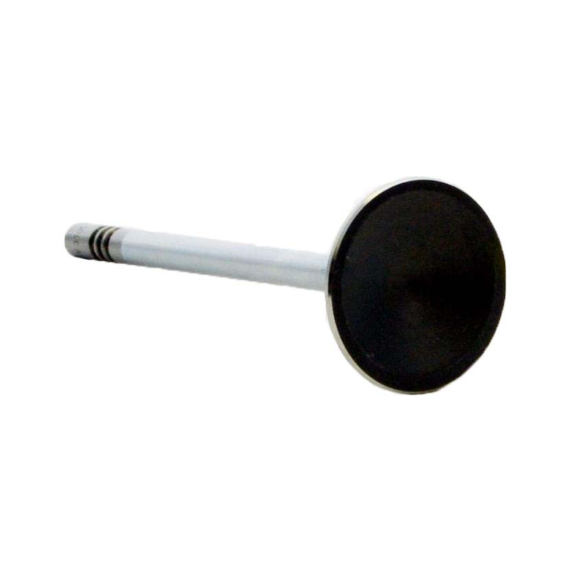 Exhaust Valve - 2002 Dodge Ram 1500 4.7L (PNV3705B.A10)