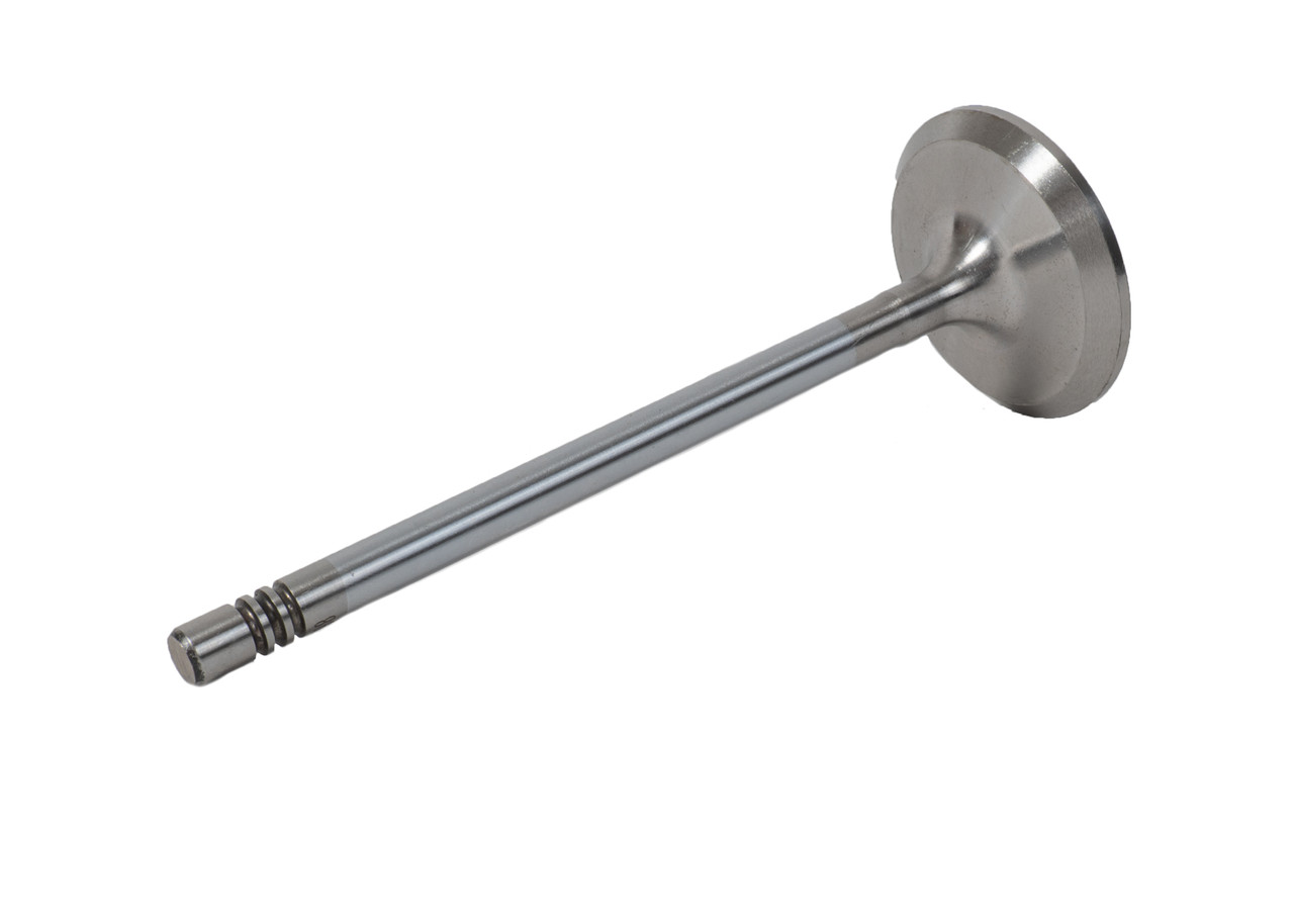Intake Valve - 2002 Oldsmobile Bravada 4.2L (PNV4352.A6)