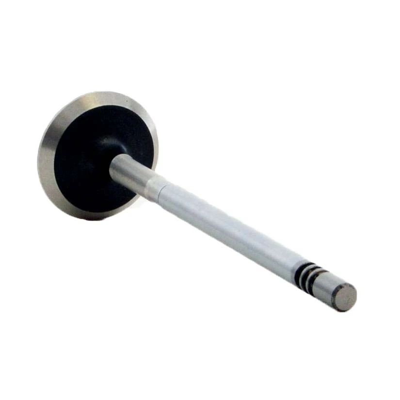 Exhaust Valve - 2005 Dodge Caravan 2.4L (PNV4353B.D37)