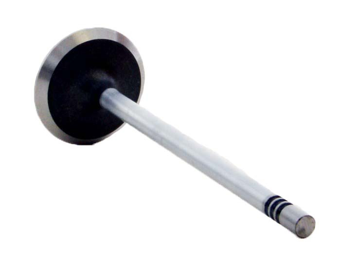 Intake Valve - 2010 Ford F-450 Super Duty 6.8L (PNV4376.H71)