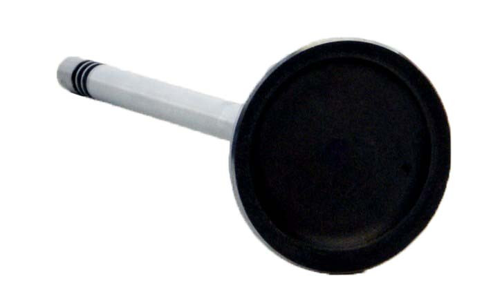 Intake Valve - 2008 Ford F-150 5.4L (PNV4376.E41)