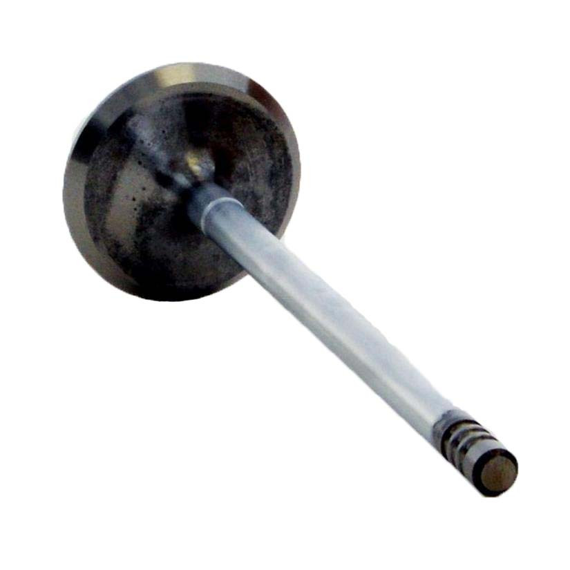 Intake Valve - 2001 Dodge Neon 2.0L (PNV4378B.A2)