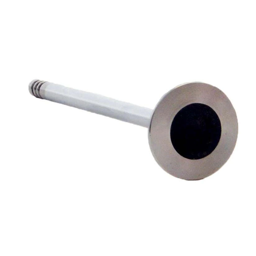 Exhaust Valve - 2002 Dodge Neon 2.0L (PNV4379B.A4)